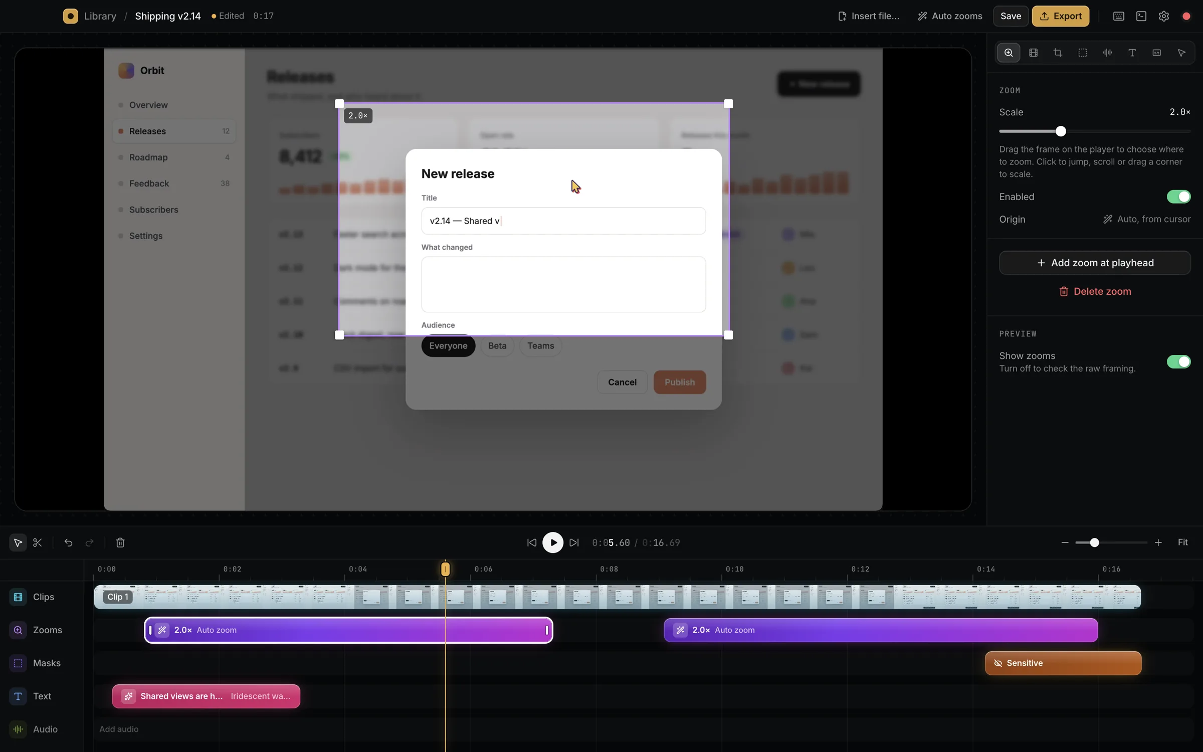 Selected auto zoom with its frame drawn over the player